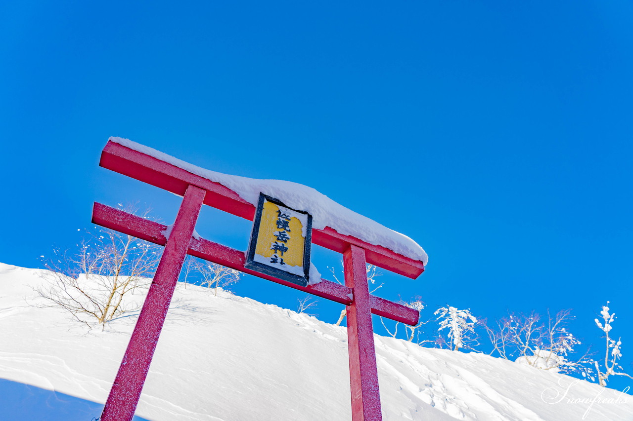 十勝サホロリゾート 快晴の空の下、極上の粉雪クルージングバーンを心ゆくまで味わう１日(*^^*)